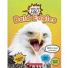 Bald Eagles (Wild Life Lol!) (Library)