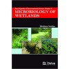 Encyclopedia of Environmental Science Vol 4: Microbiology of Wetlands