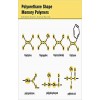 Polyurethane Shape Memory Polymers