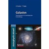 Galaxien : Sternsysteme in Kosmologischer Entwicklung (Paperback)